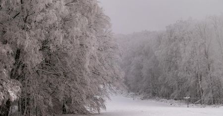 Nadchodzą zawieje śnieżne. Kolejne załamanie pogody w Polsce