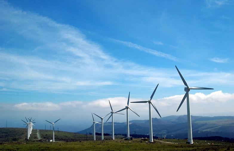 Tarcza prawna, rozwijanie farm wiatrowych i mniej chaosu w zabudowie. Wiceminister o pracach w resorcie