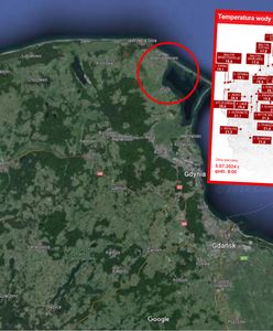 Tylko tam Bałtyk przekracza "granicę". Turyści wygrali na loterii