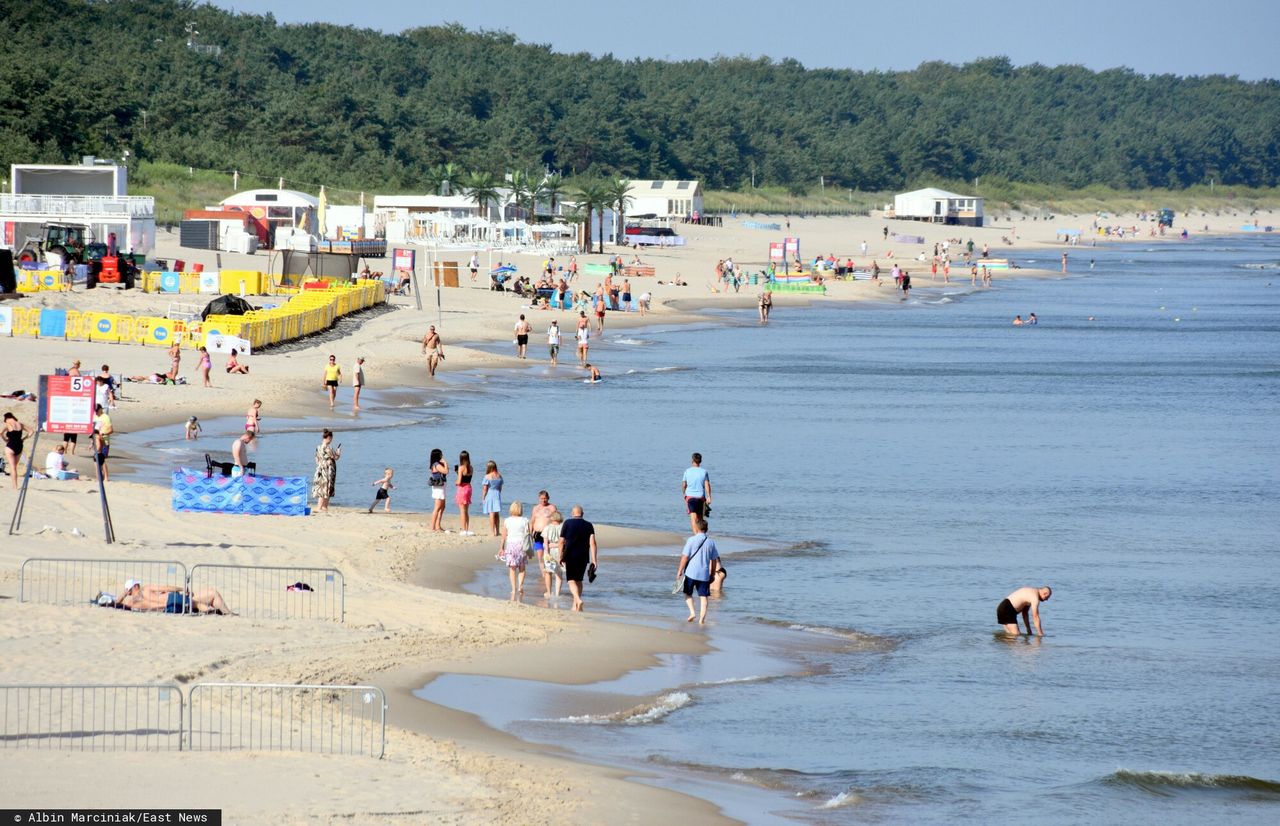 "Budowa dosłownie na plaży". Są nowe zdjęcia hotelu. "Co za dramat"