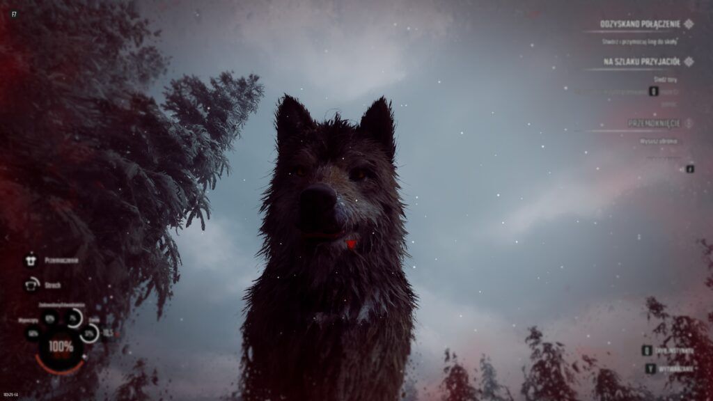 Winter Survival - recenzja gry