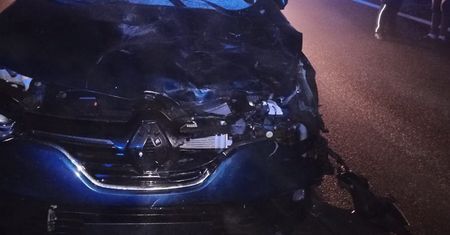 Konie wbiegły na ulicę. Jedna osoba w szpitalu
