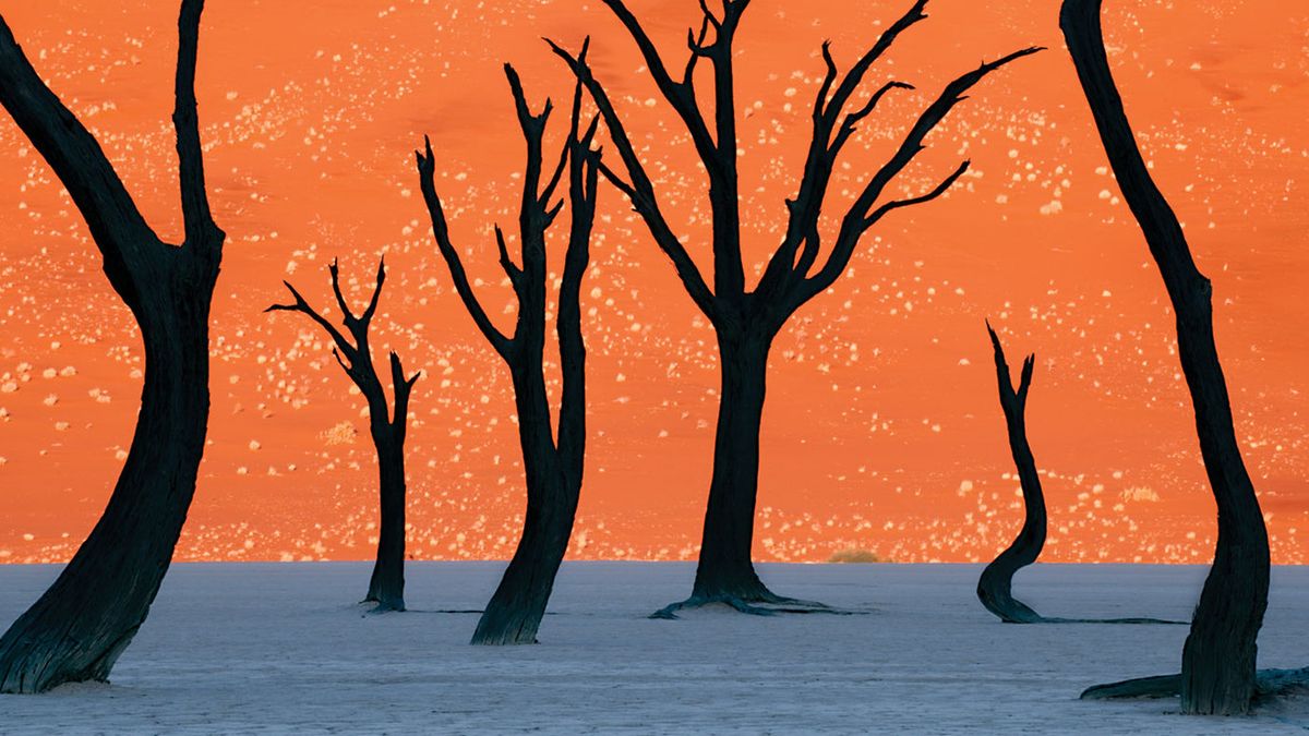 Namibia to jeden z cudów świata. Fotografie Fransa Lantinga sprawiają, że w ten cud jeszcze trudniej uwierzyć 1