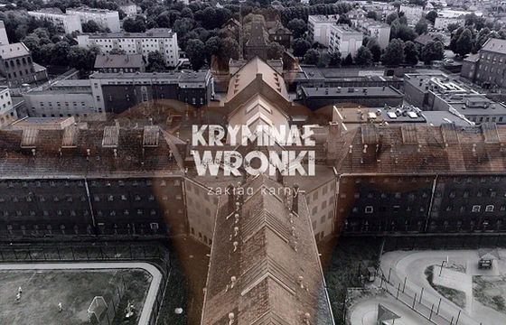 Kulisy życia w zakładzie karnym w „Kryminał Wronki” w Telewizji WP