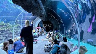 Łódź: Orientarium ZOO zaprasza na upiorną noc w tunelu oceanicznym