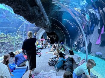 Łódź: Orientarium ZOO zaprasza na upiorną noc w tunelu oceanicznym