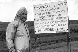 "Operacja Wegetarianin". Brytyjscy naukowcy byli przerażeni wynikiem eksperymentu