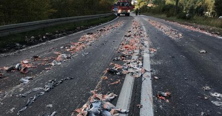 Pomorskie. Szczątki ryb na drodze. Doszło do wypadku