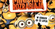 „Minionki rozrabiają”, Pierre Coffin, Chris Renaud