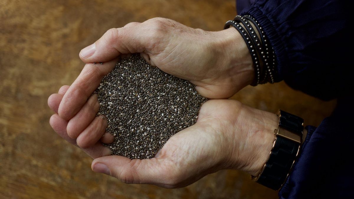 Znane od 105 tys. lat. Chronią przed rakiem, poprawiają pracę jelit