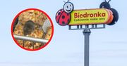 Biedronka w Ostrowie ukarana. Sanepid ujawnia szczegóły kontroli
