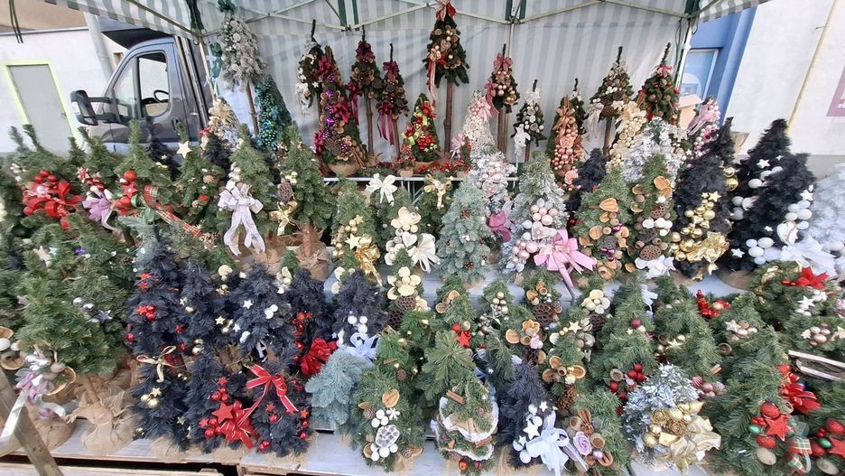 Ile kosztują choinki i stroiki w Zielonej Górze? Sprawdziliśmy ceny na giełdzie przy Zjednoczenia - tłumy i świąteczne polowanie na okazję