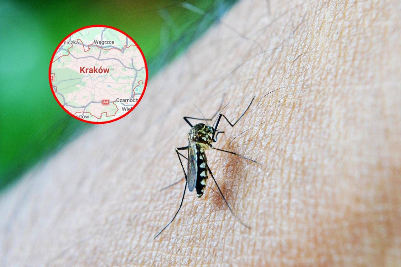 Tropikalna choroba w Polsce. Nastolatkowie w szpitalu