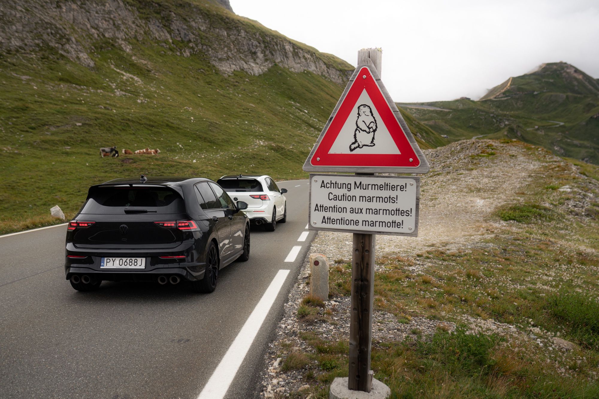 Gran turismo: Volkswagen Golf GTI Clubsport i R w Alpach