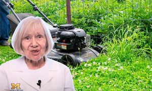 Kosisz trawnik bez zatyczek do uszu? Neurolożka mówi wprost