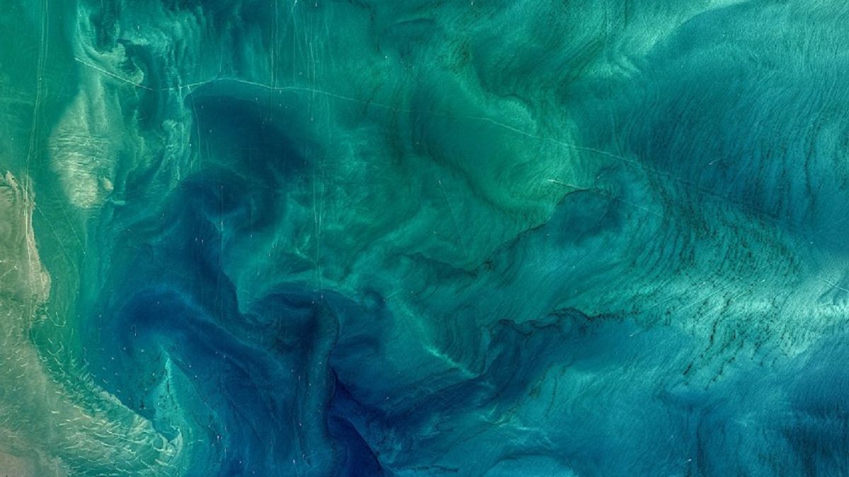 Oceany zmieniają kolor