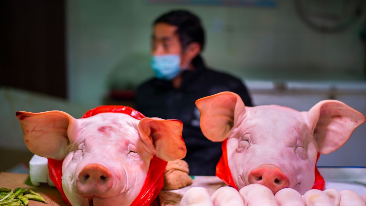 Pekin zawiesił import mrożonych produktów żywnościowych po tym, jak pojawiły się dowody sugerujące, że oryginalny wirus Sars-CoV-2 mógł dotrzeć w ten sposób na rynek owoców morza Huanan.