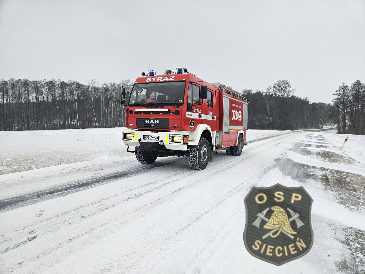 Łabędź w opałach