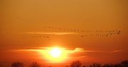 Kulminacja wysokich temperatur zmierza do woj. lubelskiego. Będzie nawet 15°C