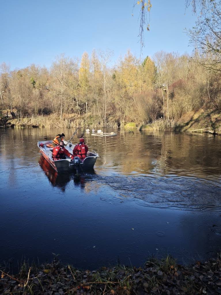 Akcja ratunkowa w ZOO Płock. Strażacy pomagali w odłowieniu pelikanów z zamarzającego stawu