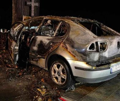 Koszmarny wypadek. Uderzył w drzewo, zginął w płomieniach