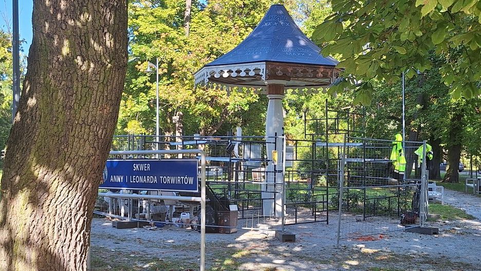 Grzybek w Toruniu