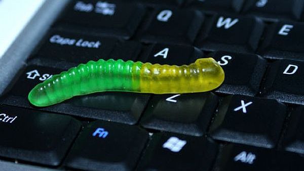 Robaczywy (dosłownie) komputer 1