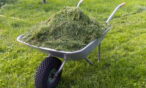 Nawet 500 zł kary. Uważaj po skoszeniu trawnika