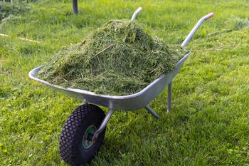 Nawet 500 zł kary. Uważaj po skoszeniu trawnika