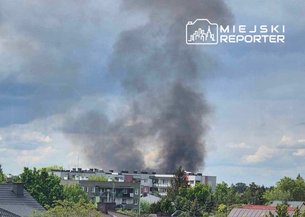Fot. Czytelniczka Miejskiego Reportera