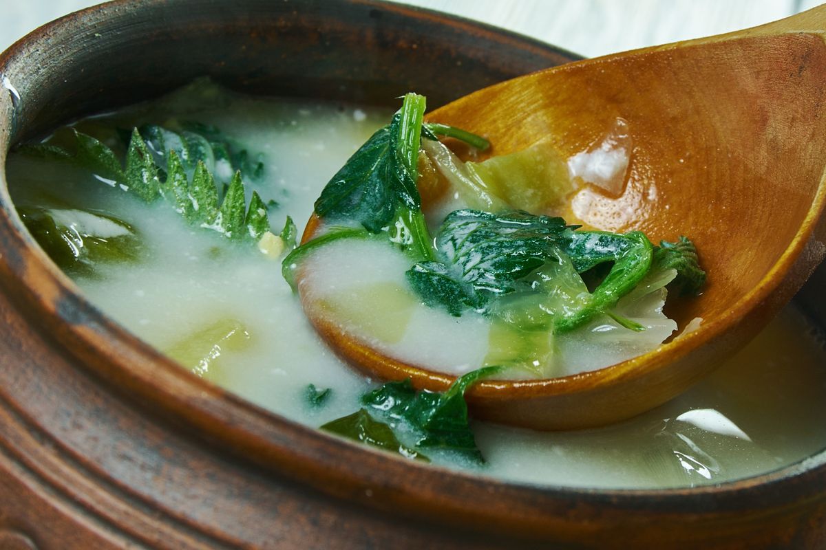 Nettle soup is a forgotten specialty of our grandmothers.