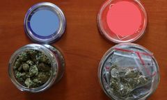 Śląskie. Kolekcja na parapecie w Wojkowicach. Narkotyki w słoikach