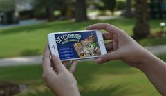 Trefl wprowadza własne gry mobilne