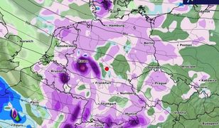 Wir polarny przyniesie zmiany. Wkrótce uderzy zima