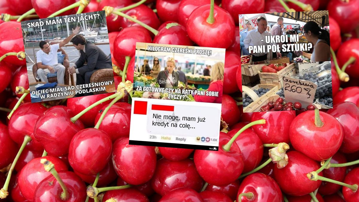 Internauci drwią. Chodzi o ceny truskawek