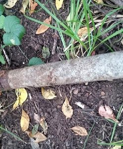 Warszawa. Niebezpieczna pamiątka z czasów II wojny światowej na Białołęce