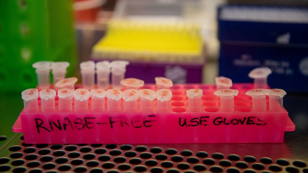 Koronawirus atakuje nie tylko płuca, ale i serce.