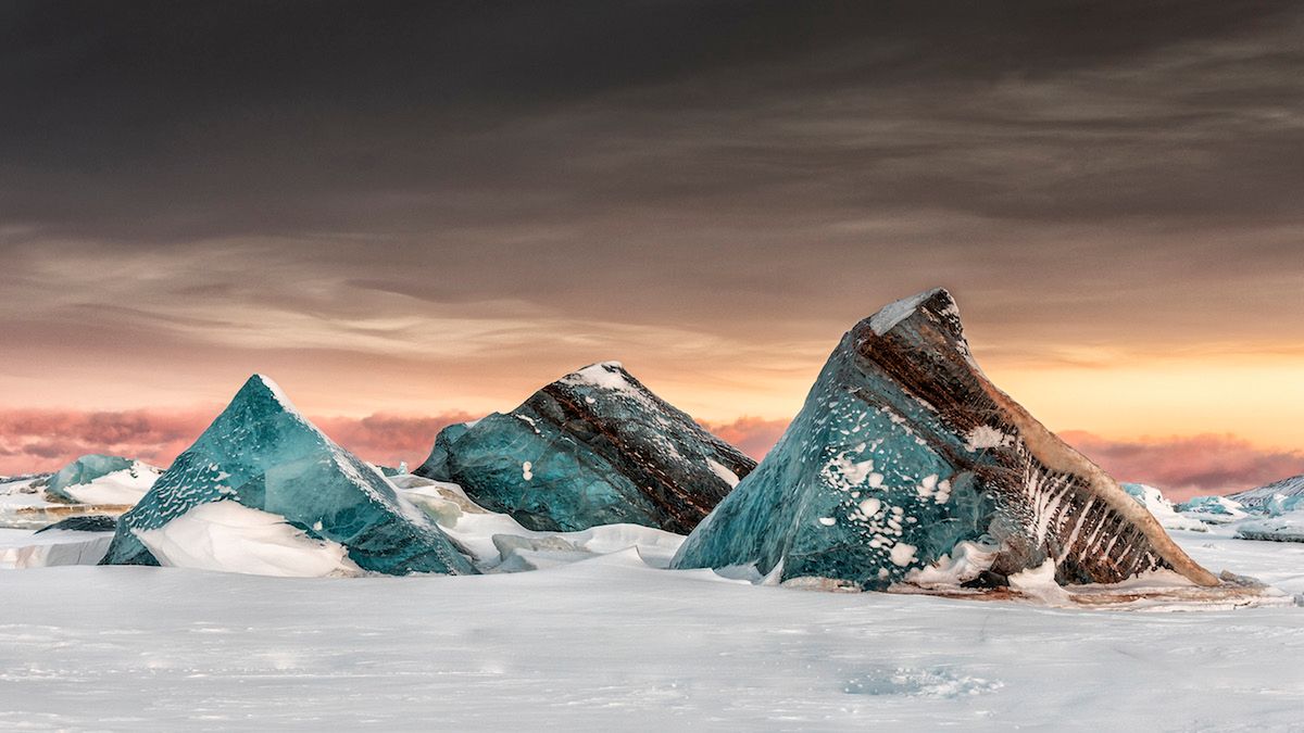 Zobacz wczesne zgłoszenia do Sony World Photography Awards 2019 3