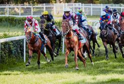 Wrocław. Partynice czekają na wyścigi koni. Czy tym razem pogoda będzie łaskawa?