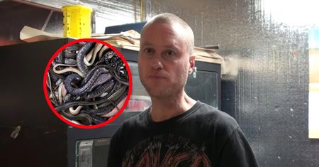 Węże "ukąsiły" go 856 razy. Jego krew może okazać się lekarstwem