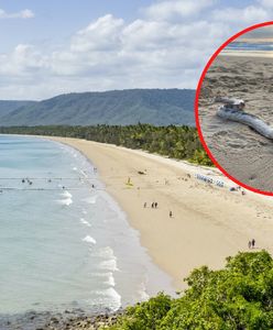 Turyści byli przerażeni. Idąc na plaży spotkali potwora morskiego