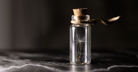 Kolejne masowe wymieranie się zaczęło? Naukowcy mówią o "szóstej katastrofie"