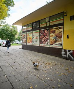 "Istniejemy od 100 lat". Znana sieć sklepów kończy działalność