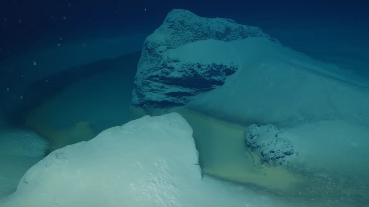 Niezwykłe odkrycie w Zatoce Akaba