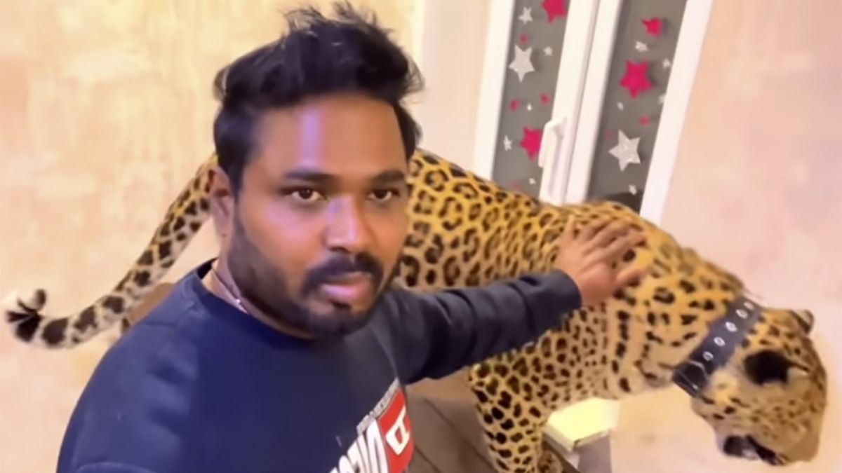 Obywatel Indii trzyma w piwnicy jaguara i panterę
