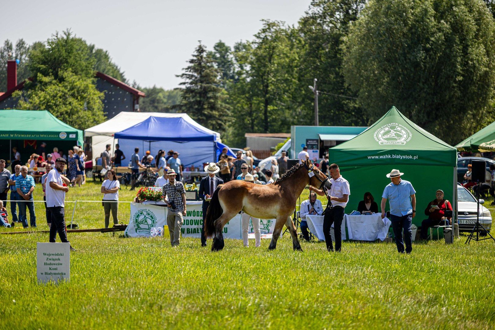 Podlaska Wystawa Koni Hodowlanych