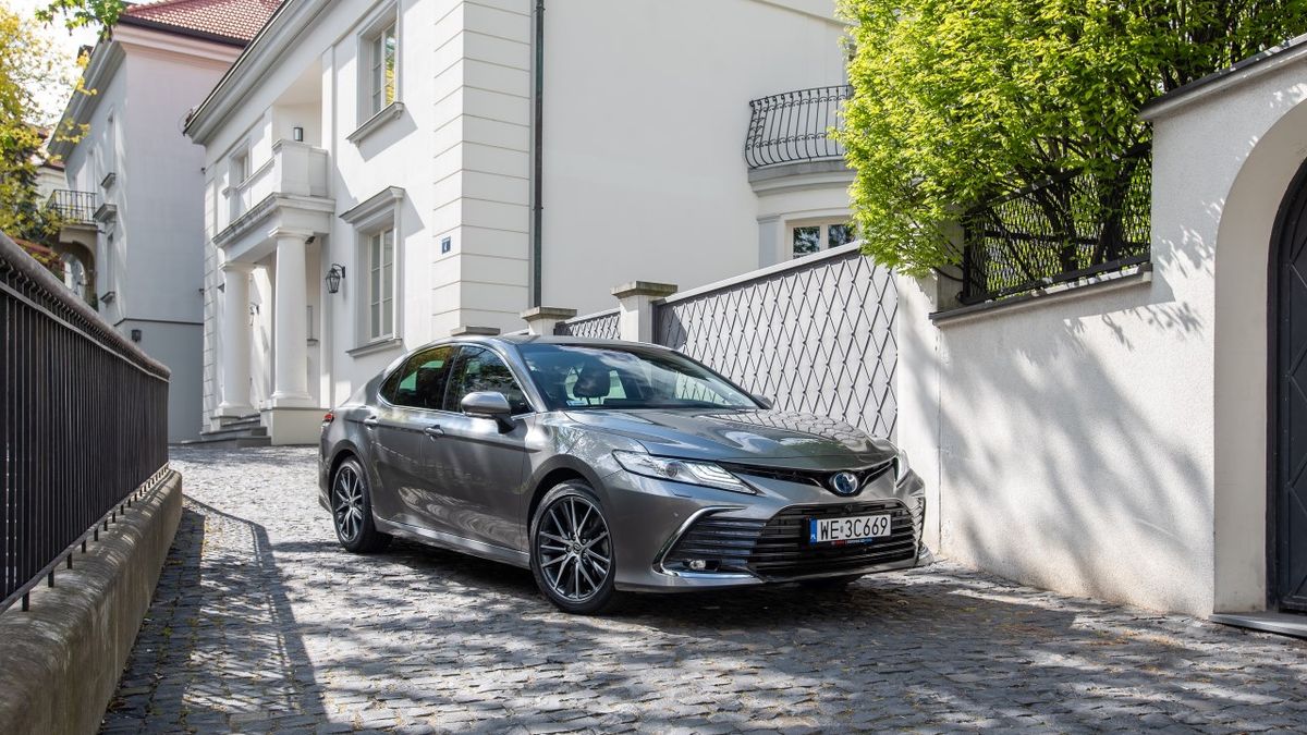 Zdjęcie ilustracyjne do artykułu