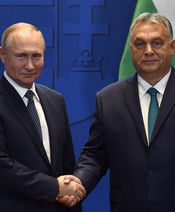 Orban zmienia front ws. Ukrainy? Ekspert nie pozostawia złudzeń