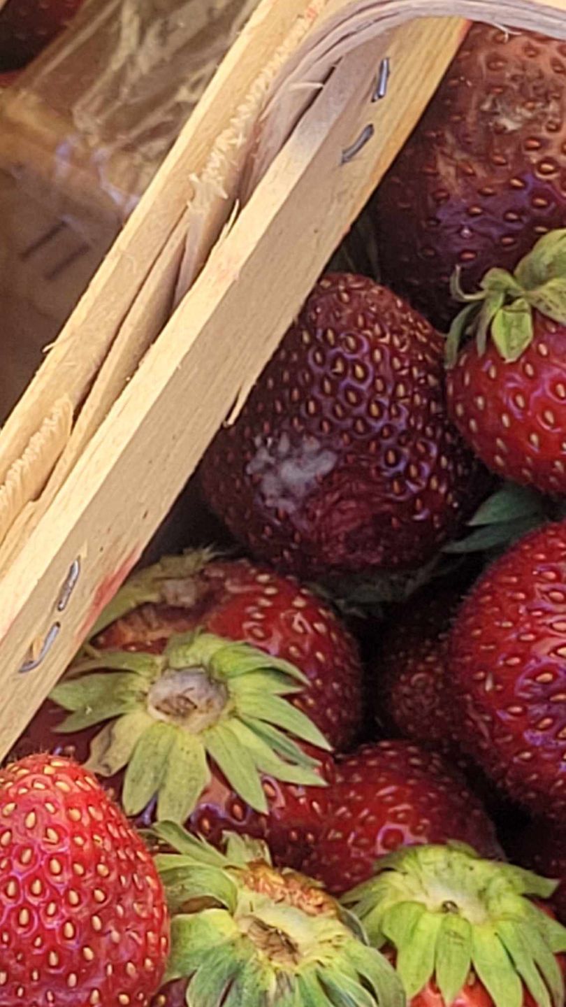 Spleśniałe truskawki nie zachęciły do zakupu