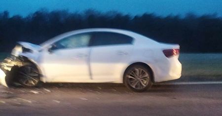Sarna na drodze i gwałtowne hamowanie. Dwa się zatrzymały, trzeci nie. Dziecko trafiło do szpitala